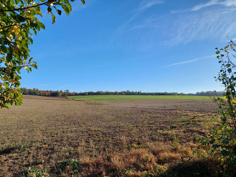 View: Dowlans Road, Great Bookham